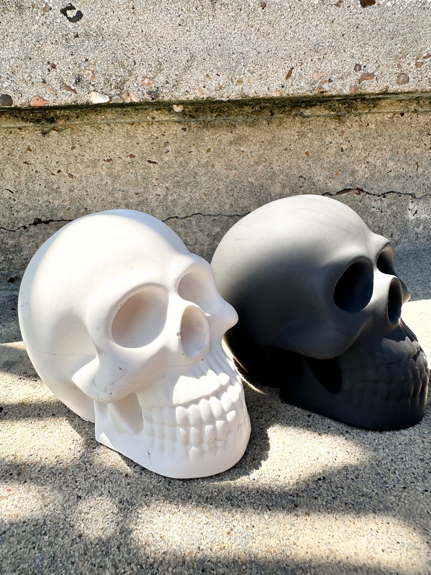 Skull Jesmonite Halloween Decor